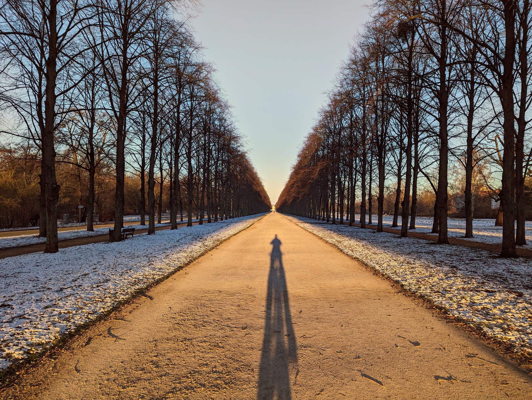 Avenue of trees in the Herrenhäuser Gärten, Hannover