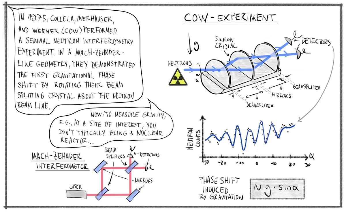 The Colella–Overhauser–Werner experiment